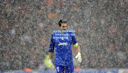 球迷文化塑造赛场灵魂，从助威到社区，体育精神的多元表达