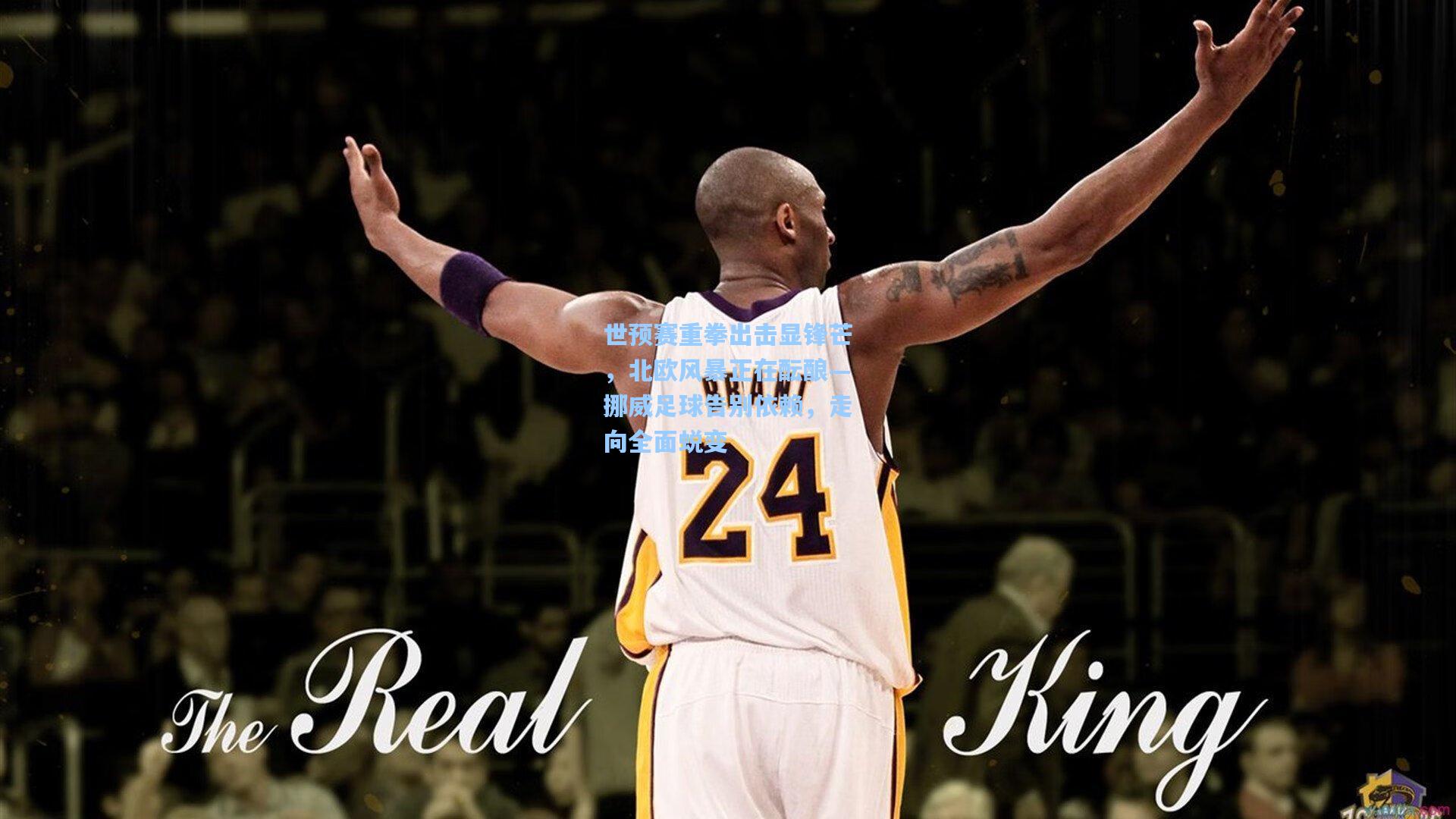 世预赛重拳出击显锋芒，北欧风暴正在酝酿—挪威足球告别依赖，走向全面蜕变