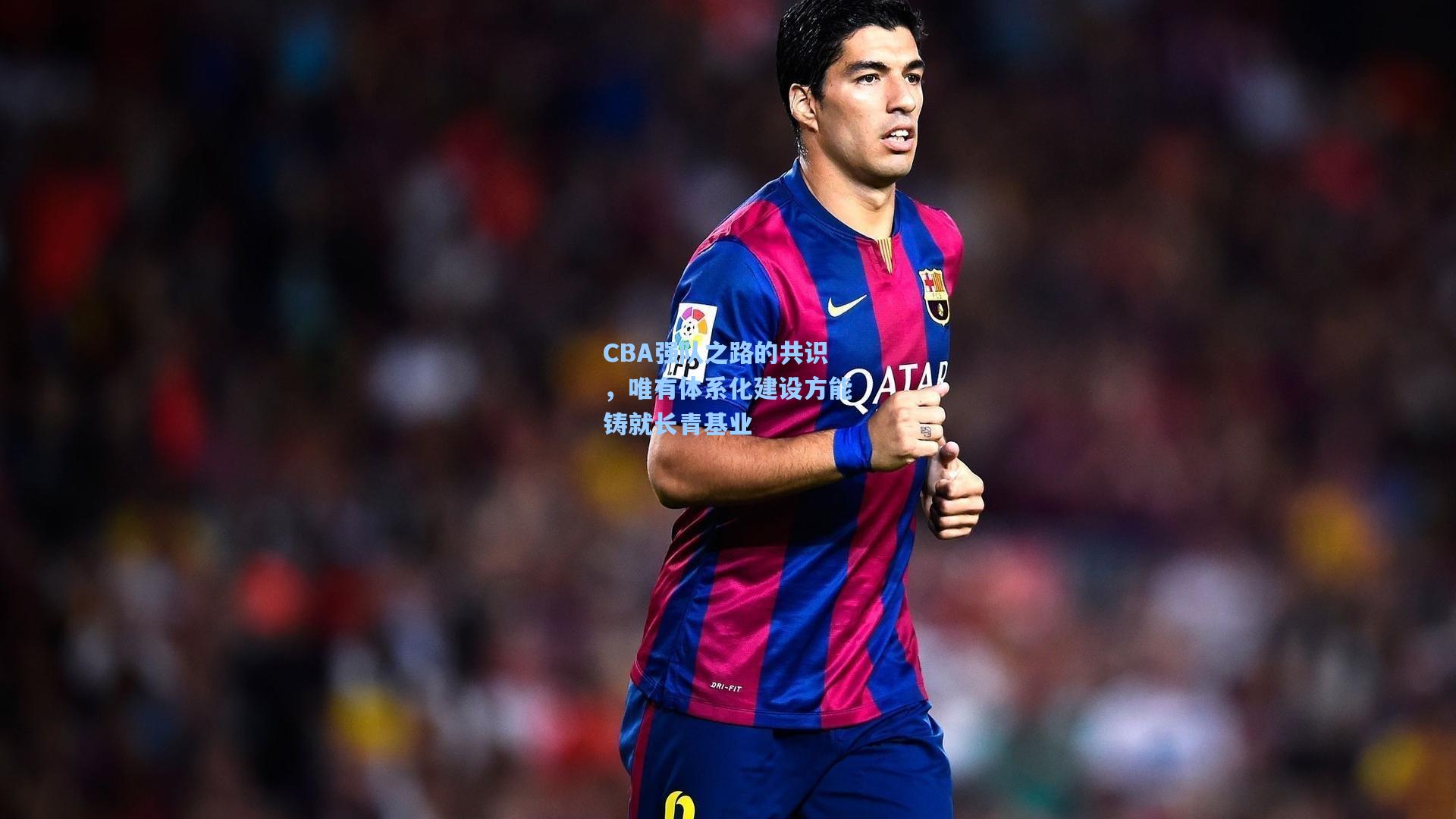 CBA强队之路的共识，唯有体系化建设方能铸就长青基业